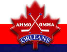 https://www.ottawajr67s.ca/wp-content/uploads/sites/3081/2017/12/Logo6.png